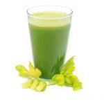 CELERY
